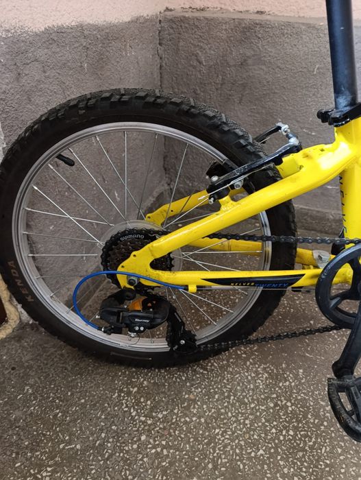 Bicicleta copii 20 inch