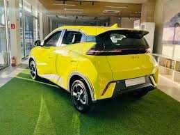 byd seagull podzakaz