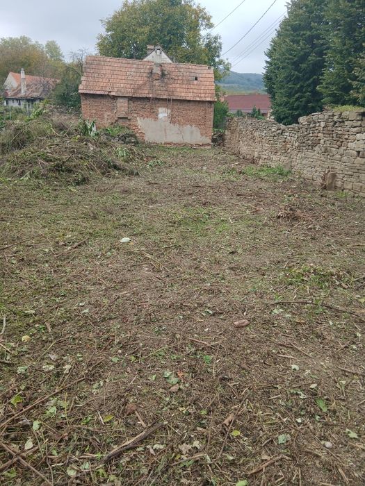 Executam defrișări, toaletări copaci,cosit iarba.