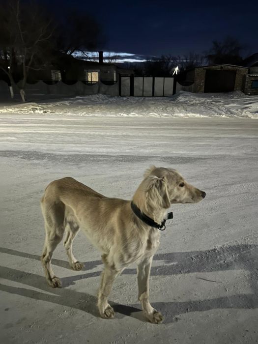 продам кабеля тазы