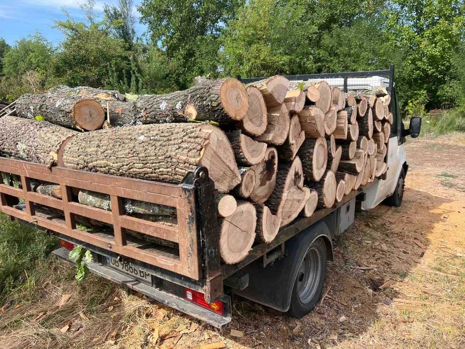 Дърва за огрев Дъб Бук