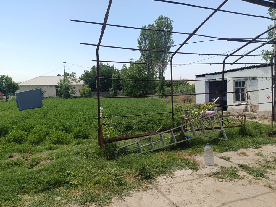 Toshkent dengizi atrofidan 30 soʻtxli kadastr xujatlariga ega xovli