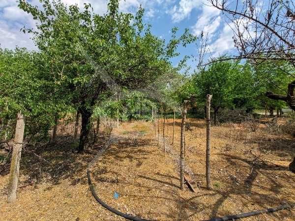 Продава се Къща в София, Хладилника - 80 кв.м за 739 €/кв.м - Снимка #6