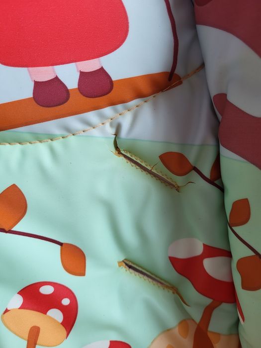 Scaun de masa chicco polly