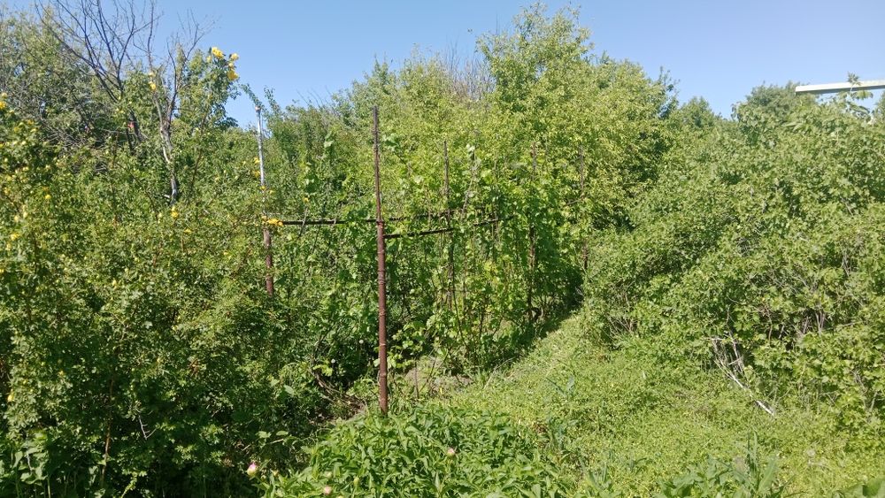 Продам дачю 8 соток