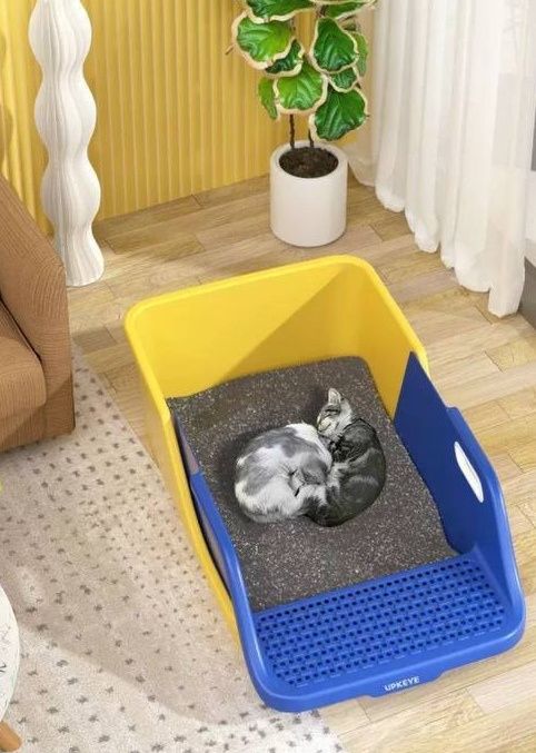 mushuk uchun elakli lotok