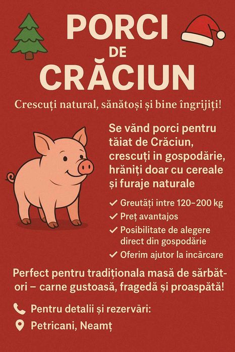 Masa foișor+banci