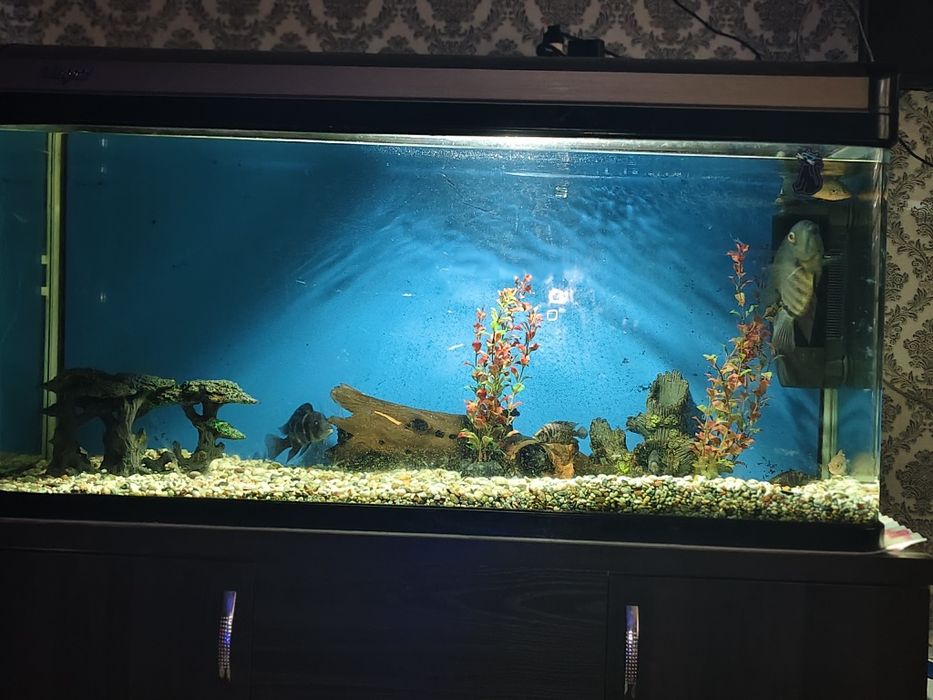 Продам аквариум 350 литров