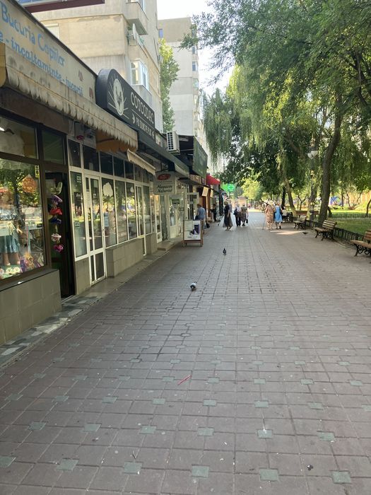 Spatiu comercial Alexandru cel Bun ,iasi