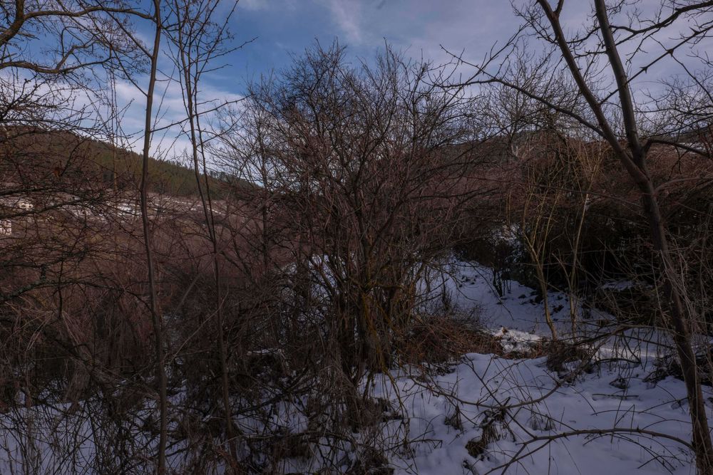 Продава се Парцел в Брезник - 4000 кв.м за 8 €/кв.м - Снимка #10