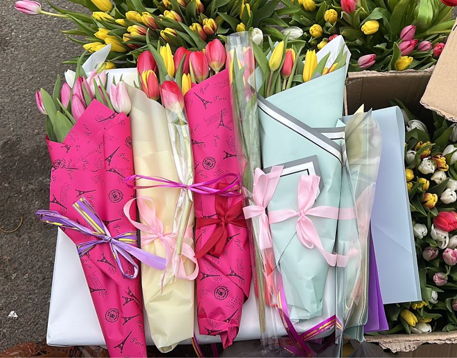 Тюльпаны свежие)))