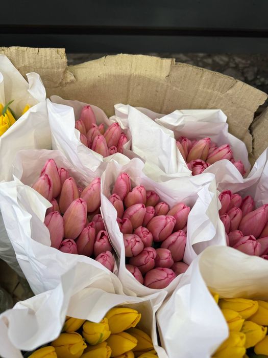 Лолалар ТЮЛЬПАНЫ Ташкент