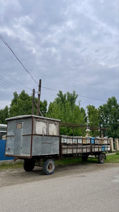 Пцеловод с вагон