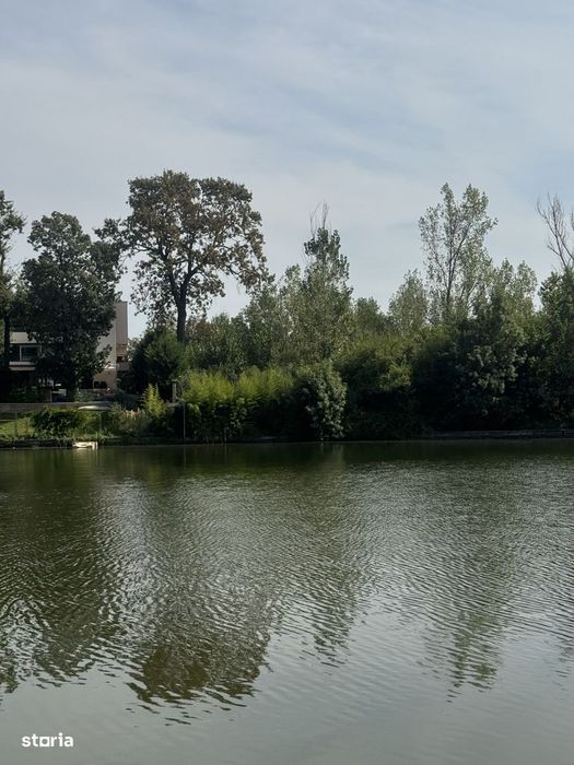 Teren Mogosoaia Lac