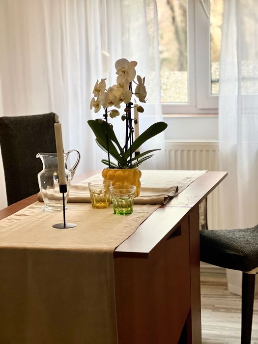 Închiriez apartament 3 camere fortuna