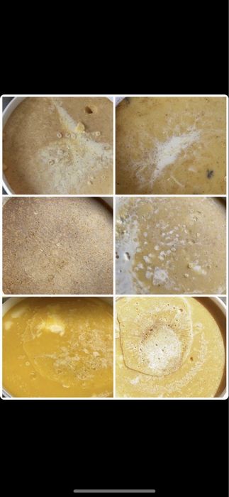 Мед с ВКО 2025.