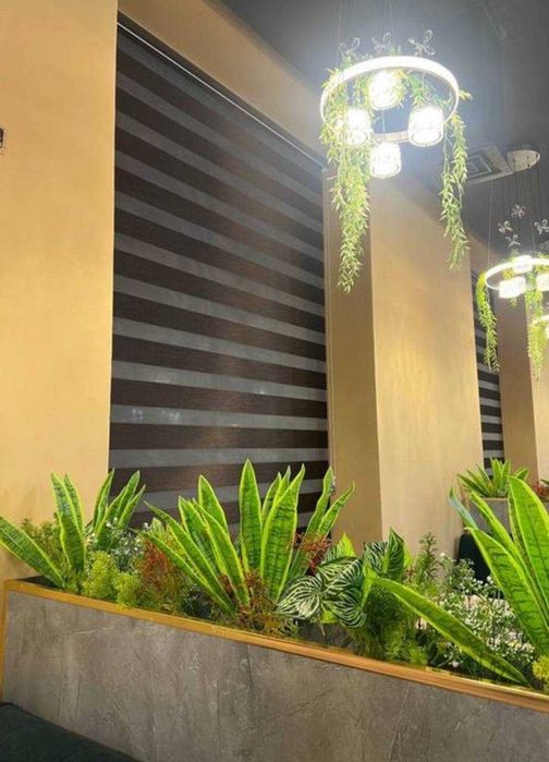 жалюзи для дома jalyuzi