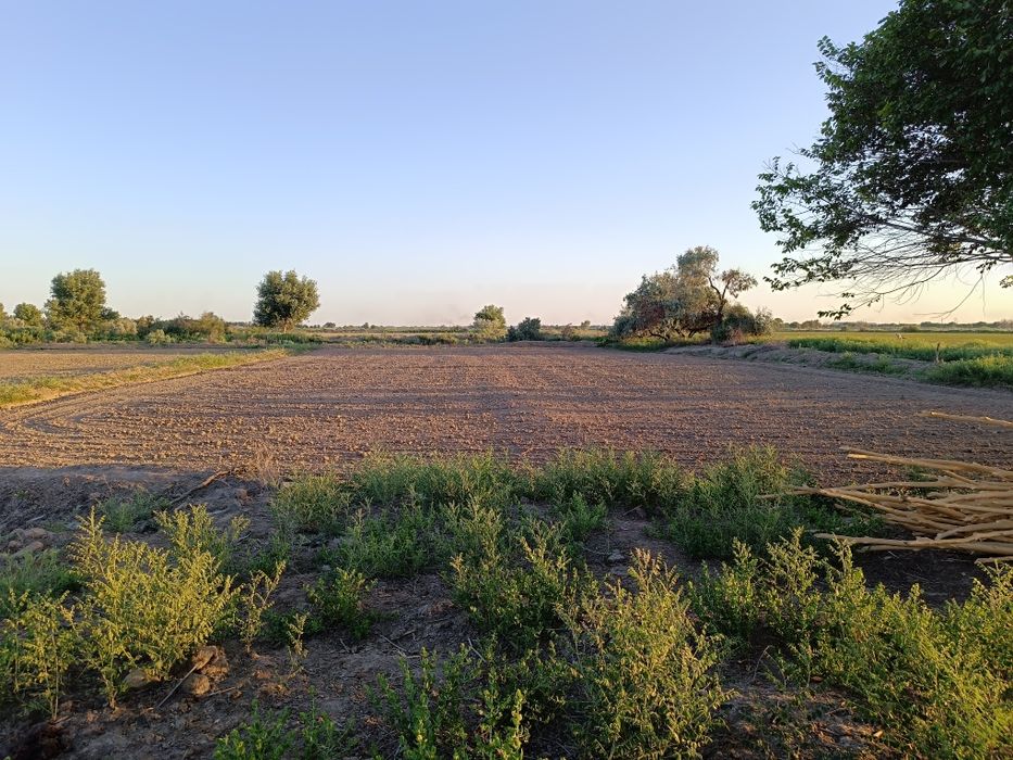 Жай сатылады Кегейлиде