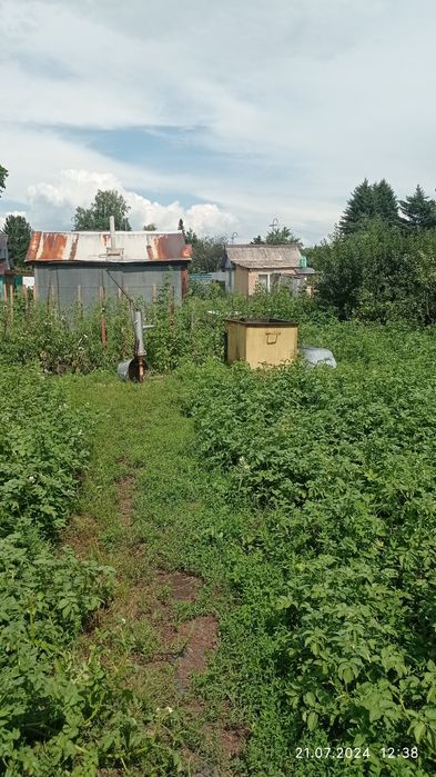 Продам дачу с/о Мичуринец