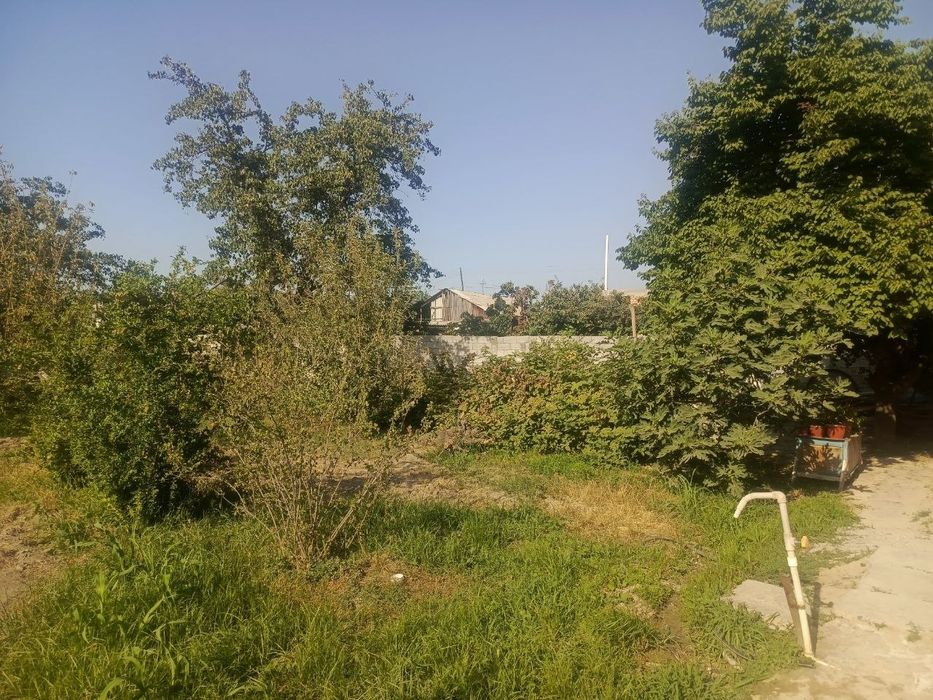 Ховли уй сотилади 8 сотих