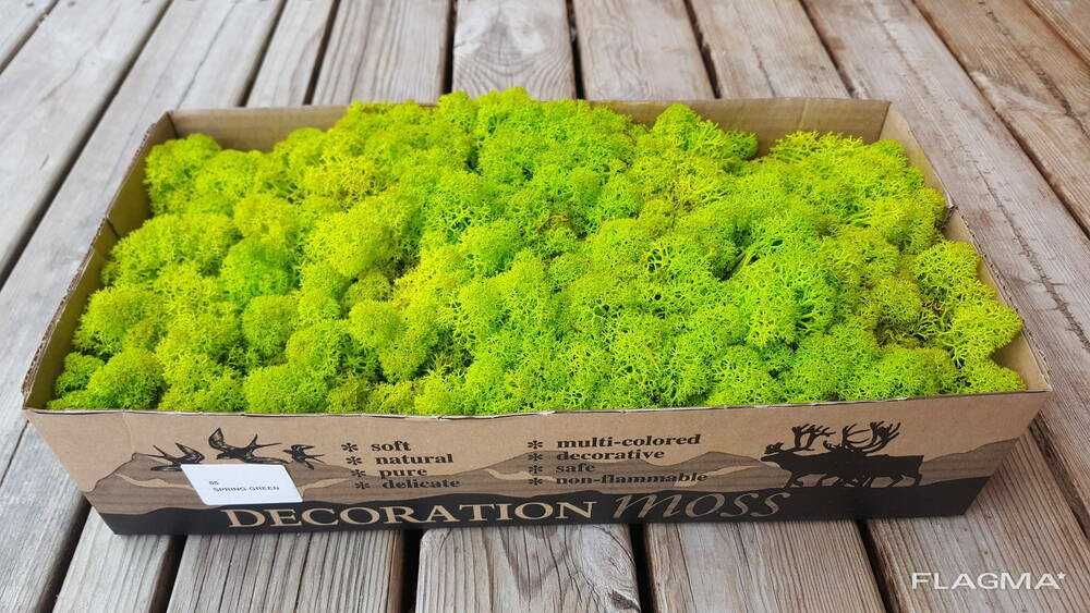 Стабилизированный природный мох доставка под заказ
