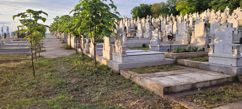 Vând loc de Veci, Mănăștur