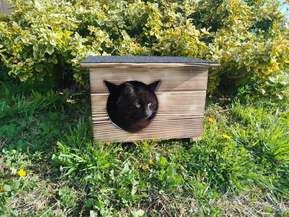 Къща за котки, Компакт, къщичка за коте, къщички за котета, колиби