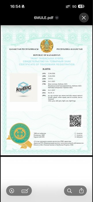 Продам товарный знак kuBIG ( МКТУ 8-9-11 )