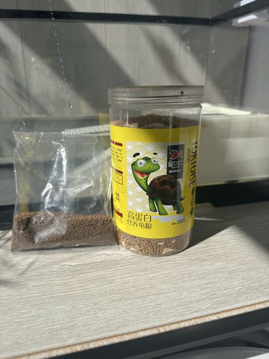 Продам черепашек вместе с аквариумом