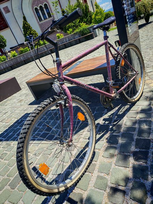 Bicicleta Mtb retro vintage pro line