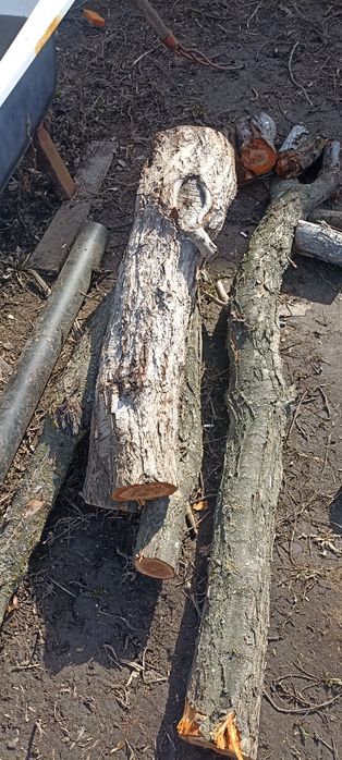 Ағаш отынға . Дрова