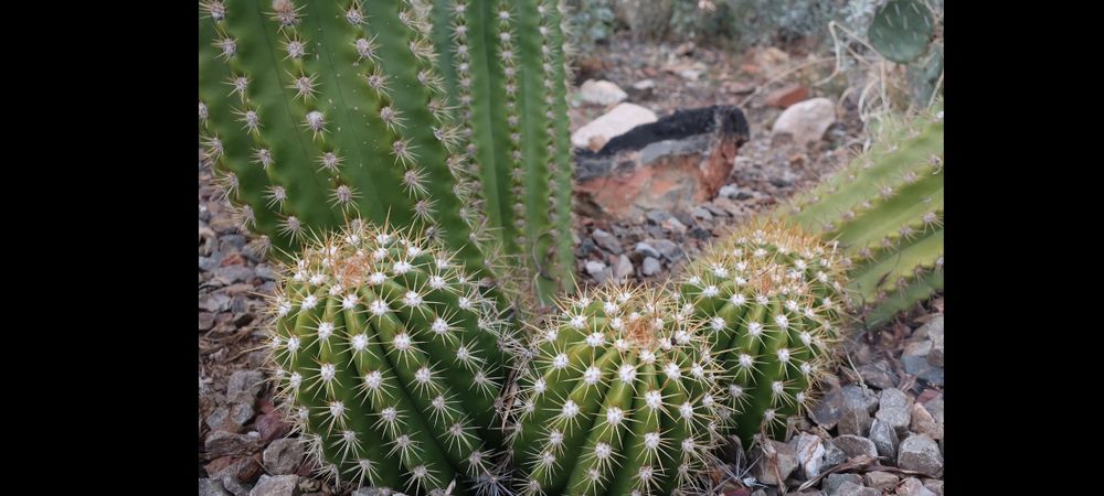 фотоапарат Canon PowerShot G9 X Mark II