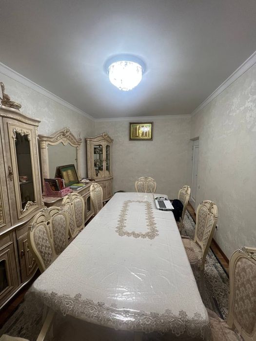 Qoraqamich 2/4 doʻm sotiladi