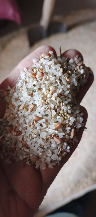 Макка силос сенаж сенаш, кепак, аралаш ем