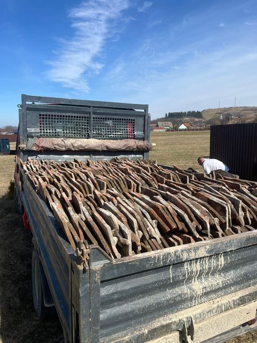 Tigla solzi pește la 1. Leu bucata.