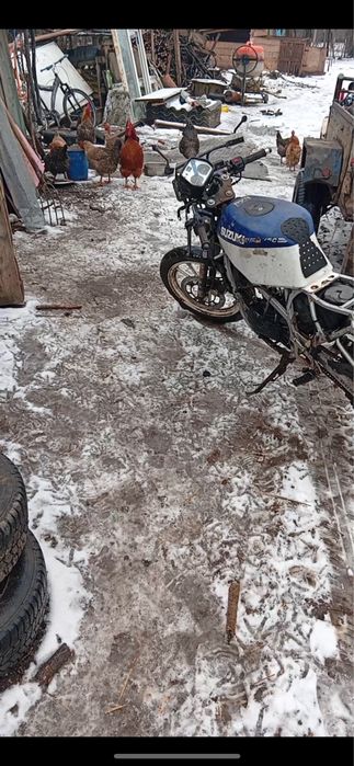 Vand sau schimb suzuki defect