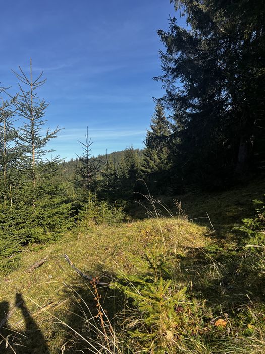 Teren la munte in Saru Dornei