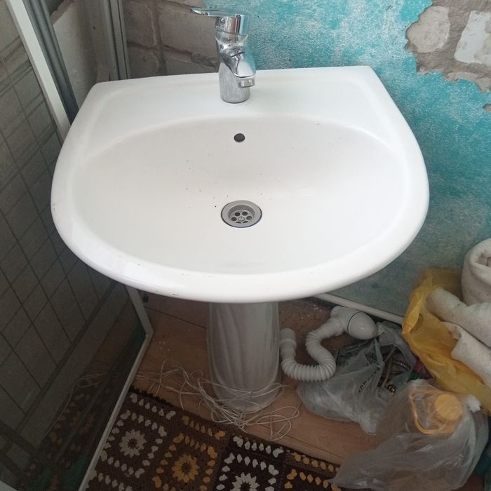 Раковина тюльпан