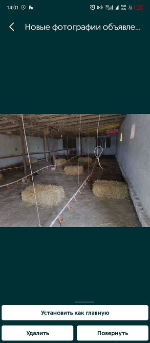 1-gektar yerda joylashgan 5000talik tovuqxona va sehlar bor