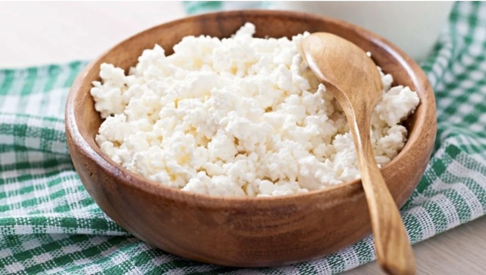 Творог домашний оптом и в розницу