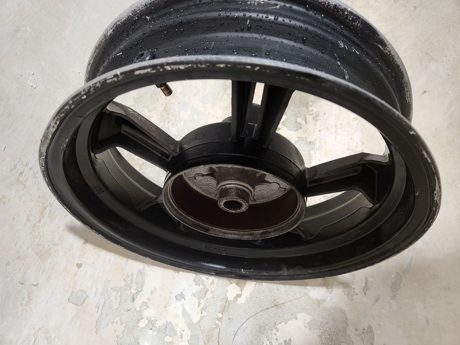 Gtiger orqa diska R13