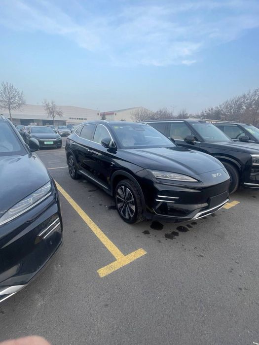 BYD Song Plus EV Champion 2025 — 2