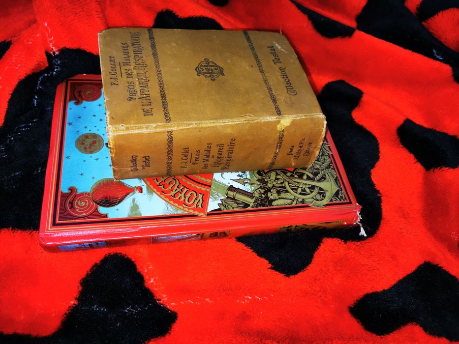 Voyage au centre de la Terre Hetzel D. H. Lawrence Amants et Fils 1931