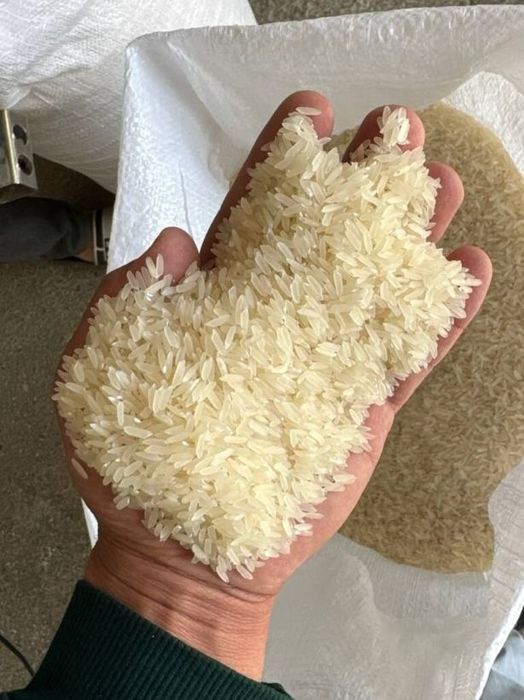 Sifatli Lazer guruch bor. Сифатли лазер гуруч бор