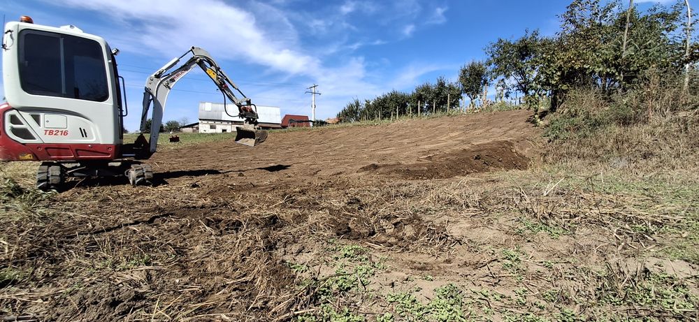 Miniexcavator și basculanta