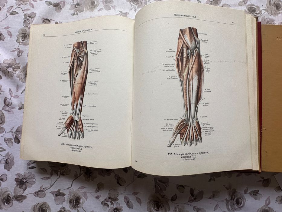 Атласи по анатомия на човека – Синелников (3 тома)