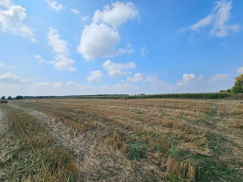 Продава се Земеделски имот в с. Крислово, Област Пловдив -  кв.м за 62 €/дка - Снимка #4