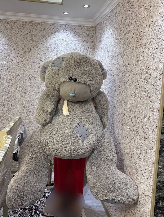 Teddy sotiladi yangide boyi 1.60 daje unda oshiq bolshi mumkun