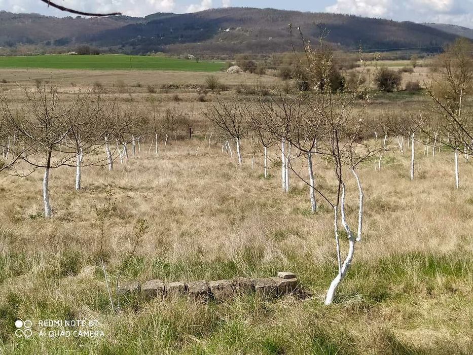 Продава се Парцел в с. Байкалско, Област Перник - 2084 кв.м за 10 €/кв.м - Снимка #7