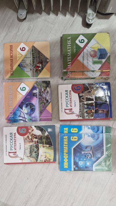 Книги 6 класса .